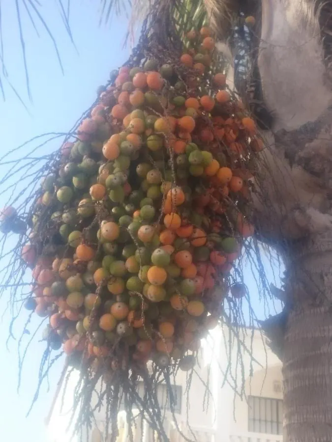Casa Paraiso Benajarafe 0*,